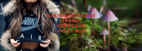 скорость Медвежьегорск