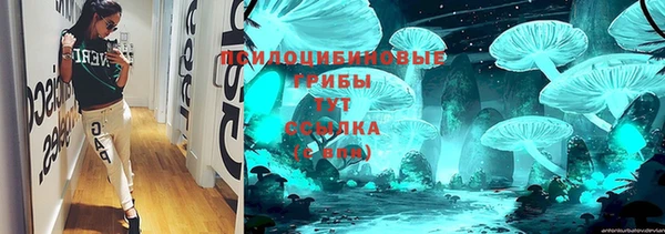 соль ск Медногорск