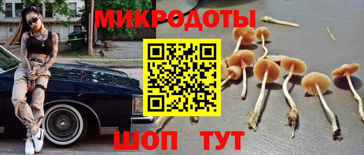 Псилоцибиновые грибы GOLDEN TEACHER Анапа