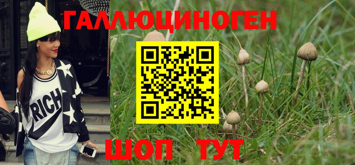 Псилоцибиновые грибы Magic Shrooms Анапа