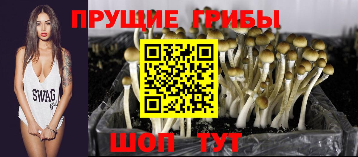 Псилоцибиновые грибы Magic Shrooms  Галлюциногенные грибы Magic Shrooms  наркошоп  Анапа 