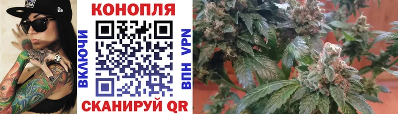 дарнет шоп  Анапа  Бошки Шишки MAZAR 
